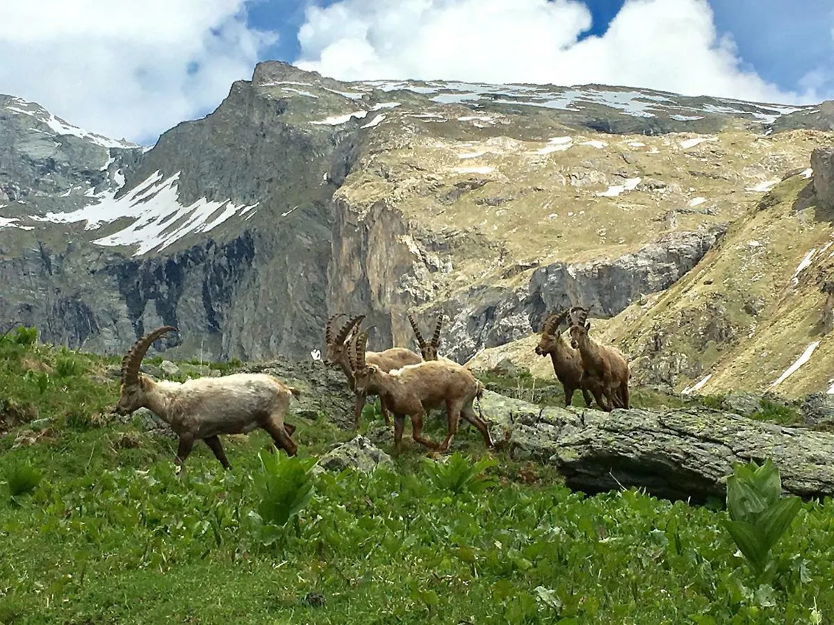 Appartamento Jour De Peuf La Plagne 0*,  Francia